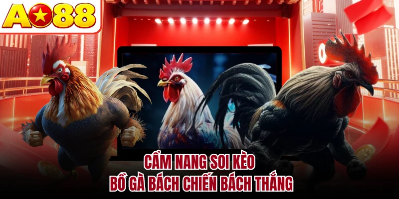 Cẩm nang soi kèo bồ gà bách chiến bách thắng