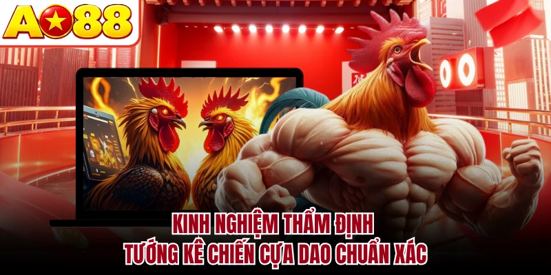 Kinh nghiệm thẩm định tướng kê chiến cựa dao chuẩn xác